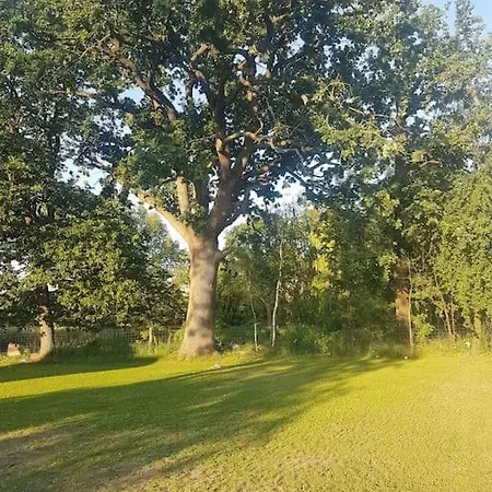 Am Rande Des Mueritz-nationalparks 公寓 Kargow