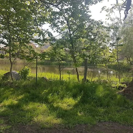 Am Rande Des Mueritz-nationalparks * Kargow