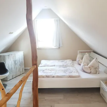 Am Rande Des Mueritz-nationalparks *