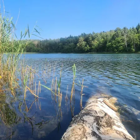Am Rande Des Mueritz-nationalparks Kargow