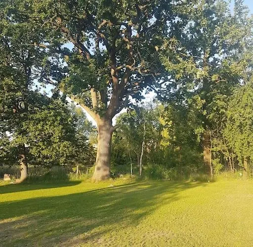 Am Rande Des Mueritz-nationalparks Appartement Kargow