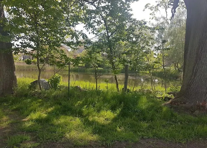 Am Rande Des Mueritz-nationalparks * Kargow