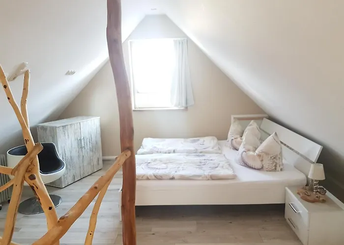 Am Rande Des Mueritz-nationalparks *